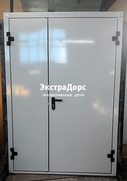 Противопожарная дверь EI 30 3 типа двупольная белая в Чехове  купить