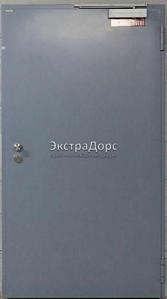 Противопожарная дверь однопольная дымогазонепроницаемая металлик в Чехове  купить