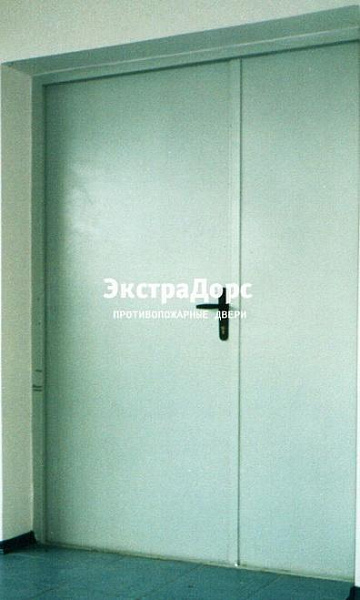Противопожарная дверь двупольная белая без порога в Чехове  купить